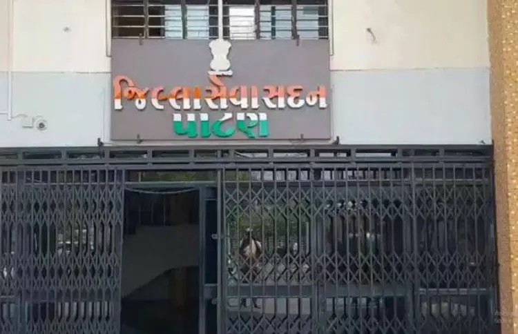 Patan Collectors Office Bomb Threat: રાજકોટ અને પાટણ કલેક્ટર કચેરીને બોમ્બથી ઉડાવવાની ધમકીથી ખળભળાટ, પોલીસ અને બોમ્બ સ્ક્વોડ એલર્ટ 1 Patan Collectors Office Bomb Threat