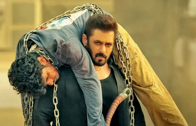 Salman Sikandar flop