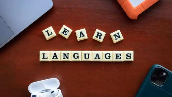 Best Languages For Abroad Jobs: આ 5 ભાષાઓ શીખો અને મેળવો ઊંચો પગાર અને વૈશ્વિક નોકરીની તકો 1 Best Languages For Abroad Jobs