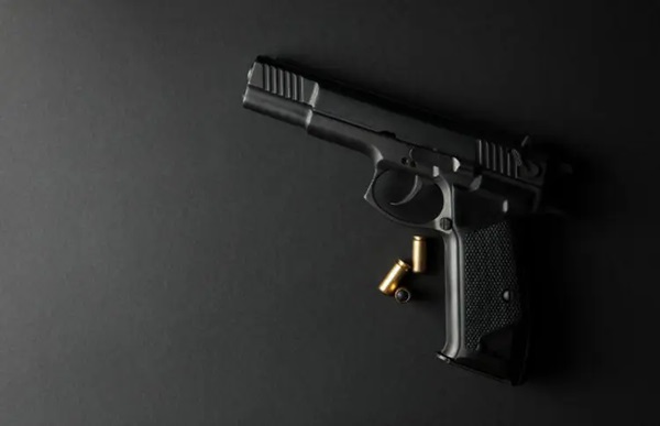 Gujarat Gun Licence Scam: ગુજરાતના મંત્રીપુત્રનું બંદૂક લાઇસન્સ કૌભાંડ જોડાણ: નાગાલેન્ડથી લાવ્યો લાઇસન્સ! 1 sdfdse