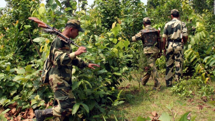 Chhattisgarh 5 Naxalites Killed by Army: રેડ ઝોનમાં રણ: 20 હજાર જવાનો, એક હજાર નક્સલીઓ ઘેરાયા 1 sdwsddw