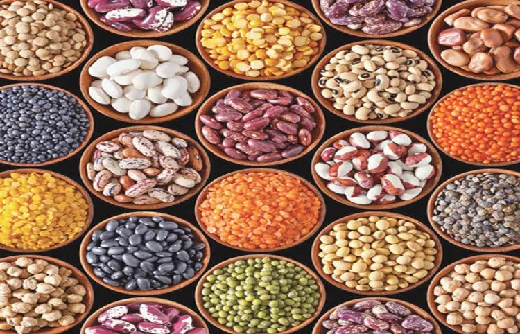 Govt Plans PSF Use for Pulses Purchase: કઠોળના ભાવ ઊંચા, પીએસએફનો ઉપયોગ કરીને ખરીદી કરવાનો સરકારનો વિચાર 1 Govt Plans PSF Use for Pulses Purchase
