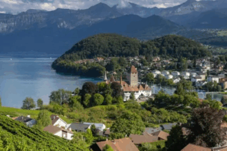 Study in Switzerland
