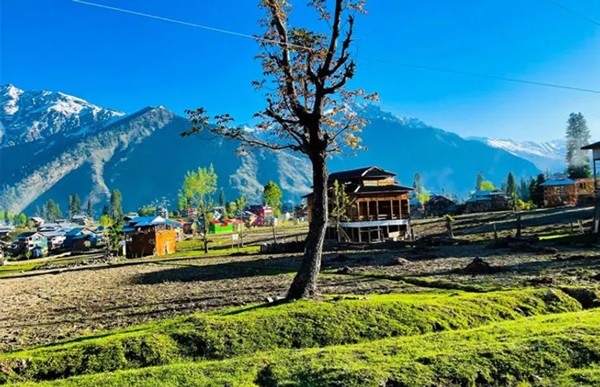 USA Advisory on Pahalgam Terror Attack: પહલગામ હુમલા બાદ એલર્ટ: અમેરિકા દ્વારા નાગરિકોને જમ્મુ-કાશ્મીર ન જવાની ચેતવણી 1 wefefef