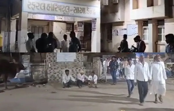 Banaskantha News :કરંટનો કહેર : બનાસકાંઠાના ઉંબરી ગામમાં 3ના દુઃખદ મોત, ખેતરમાં ઘાસચારો લેવા ગઇ હતી મહિલા 1 zsdfdz