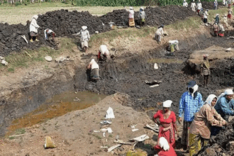 MGNREGA Scam in Jambughoda