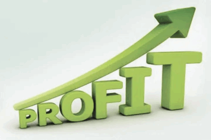 PSU banks made profit