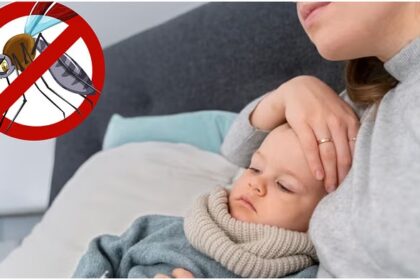 National Dengue Day 2025