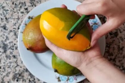 Mango Peel Uses