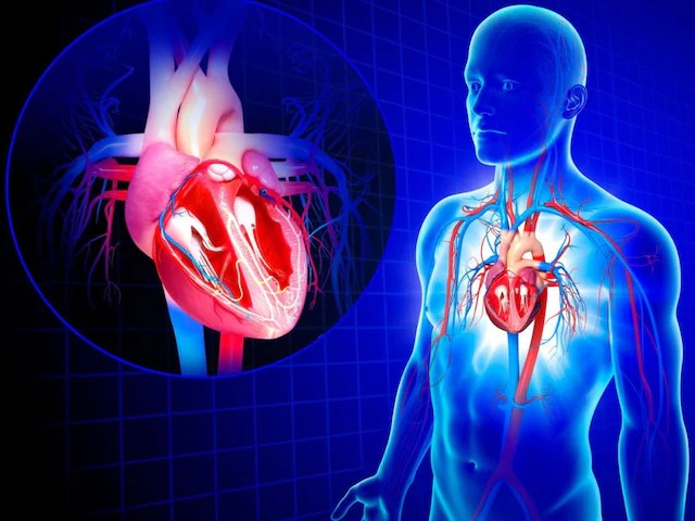Sleepless Night Risks: 3 રાત સુધી ન ઊંઘવાથી હૃદય રોગ થઈ શકે છે! શરીરમાં બળતરા ઝડપથી વધી શકે છે, સંશોધનમાં સત્ય બહાર આવ્યું 1 Sleepless Night Risks