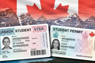 Canada Student Visa And Study Permit