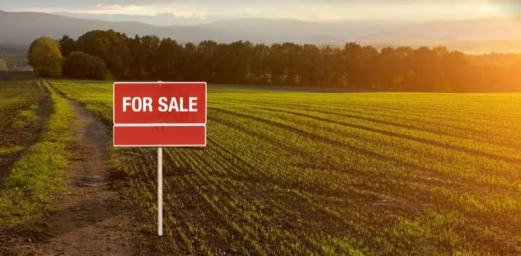 Land Buying Tips