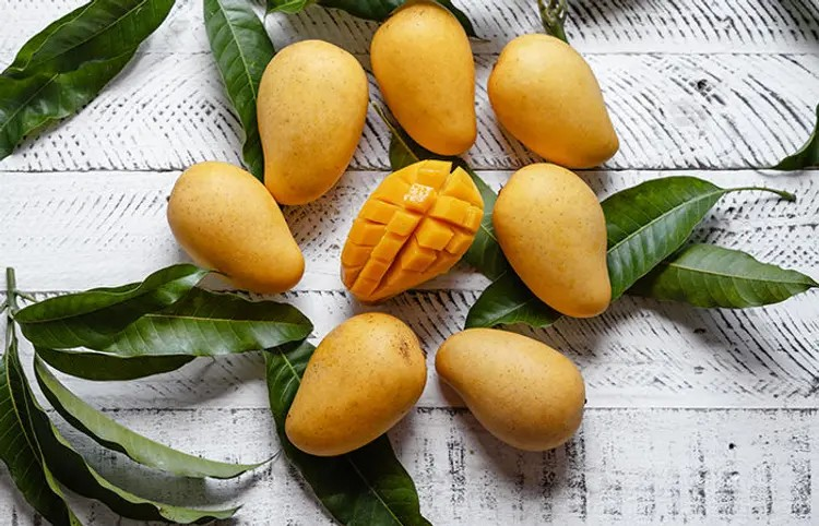 Mango Eating Mistakes: કેરી ખાતા પહેલા જાણો આ 5 મહત્વપૂર્ણ નિયમ, નહીંતર થઈ શકે છે નુકસાન 1 Mango Eating Mistakes