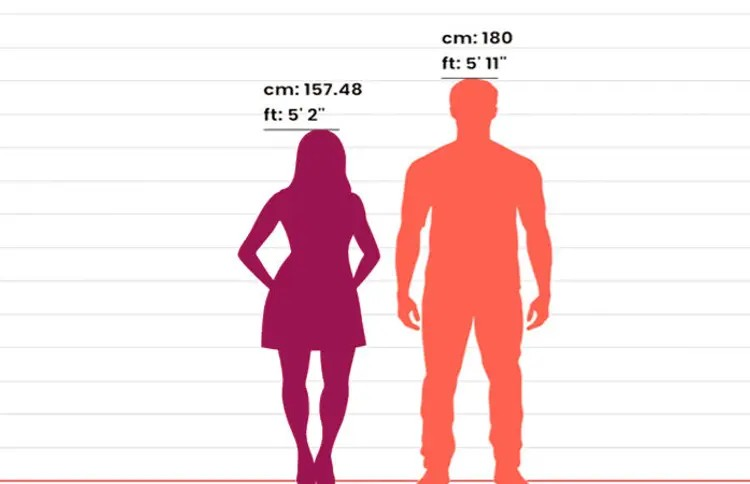 Why are Men taller than Women: પુરુષો મહિલાઓ કરતાં ઊંચા કેમ હોય છે? નવી શોધમાં રહસ્ય ખુલ્યું 1 Why are Men taller than Women