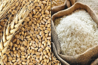 Sufficient stocks of wheat and rice