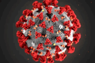 Coronavirus in Delhi