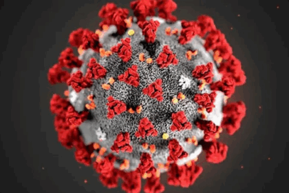 Coronavirus in Delhi