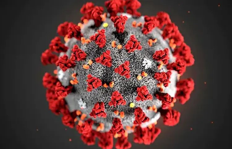 Coronavirus in Delhi
