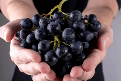 Black Grapes