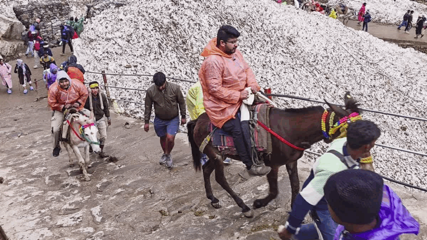 Kedarnath Dham: કેદારનાથમાં ઘોડા-ખચ્ચરમાં વાયરસ, 14ના મોત પછી કેન્દ્ર હરકતમાં 1 Kedarnath Dham