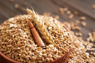 China threat to US agriculture