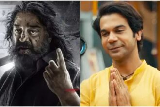 Bhool Chook Maaf Box Office Collection