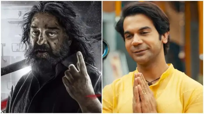 Bhool Chook Maaf Box Office Collection