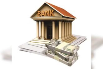 Public banks surpass private banks in loans