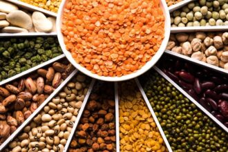 Which Pulse Has Most Protein