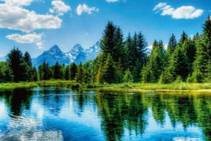 Increased greenery in Northern Hemisphere by 2100