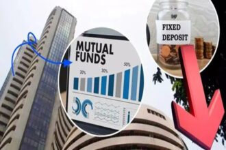 Investment in FD and MF