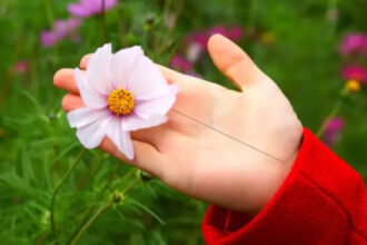 Fate Line Palmistry