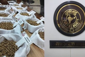Indian coffee export growth