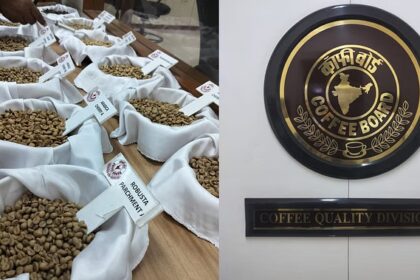 Indian coffee export growth