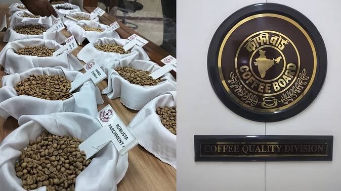 Indian coffee export growth