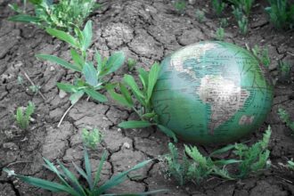 Climate displacement global crisis