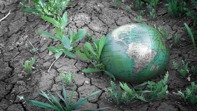 Climate displacement global crisis