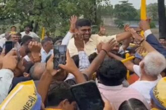 Kadi Visavadar Bypoll Results
