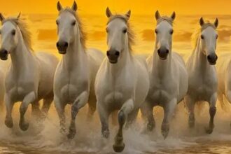 Seven Horses Painting Vastu