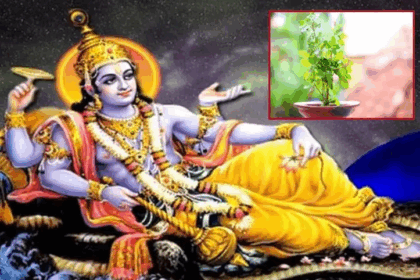 Nirjala Ekadashi 2025