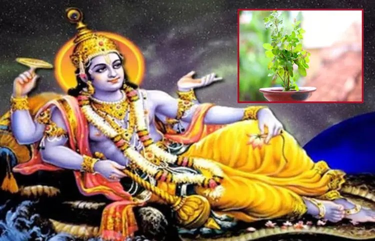 Nirjala Ekadashi 2025: 2 દિવસ પછી નિર્જલા એકાદશી, તુલસી સંબંધિત 5 ભૂલો ટાળો 1 Nirjala Ekadashi 2025
