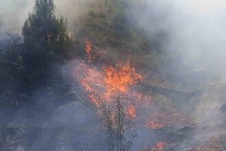 Climate Emergency in Europe