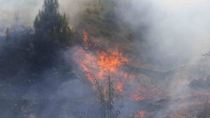 Climate Emergency in Europe