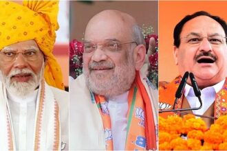 BJP new national president appointment process