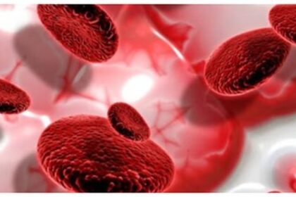 Artificial Blood Japan