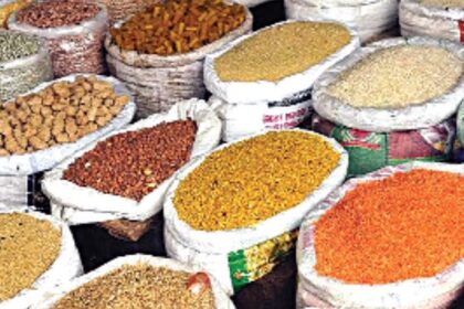 FAO report