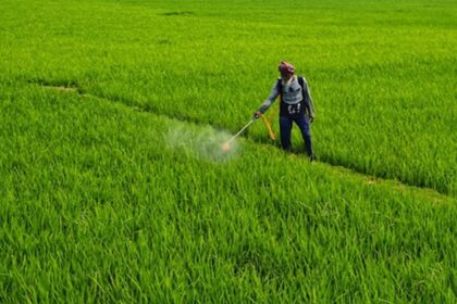Monsoon Impact on Crop Patterns