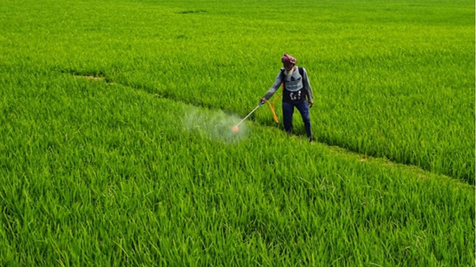 Monsoon Impact on Crop Patterns