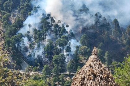 France Forest Fires