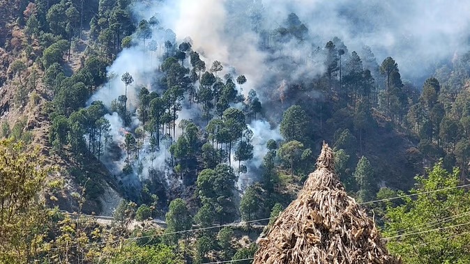 France Forest Fires